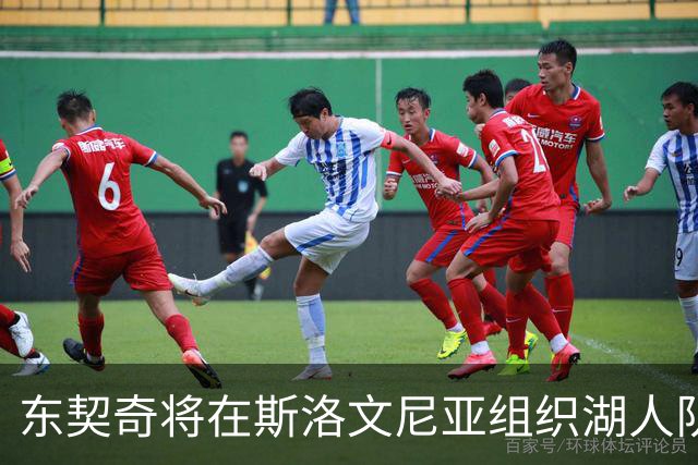 东契奇将在斯洛文尼亚组织湖人队迷你训练营